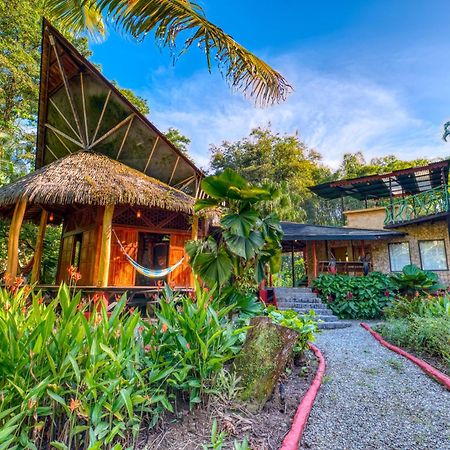 Tree House Beachfront Lodge Puerto Viejo de Talamanca Exteriör bild
