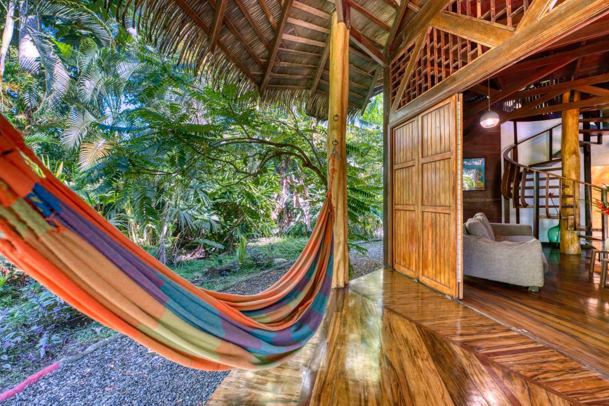 Tree House Beachfront Lodge Puerto Viejo de Talamanca Exteriör bild