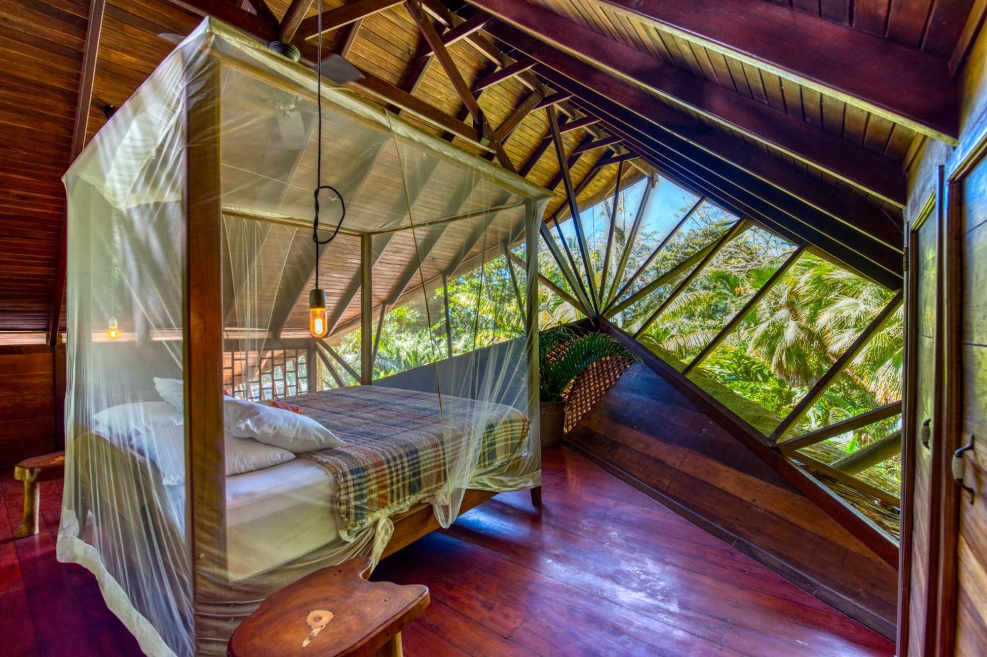 Tree House Beachfront Lodge Puerto Viejo de Talamanca Exteriör bild