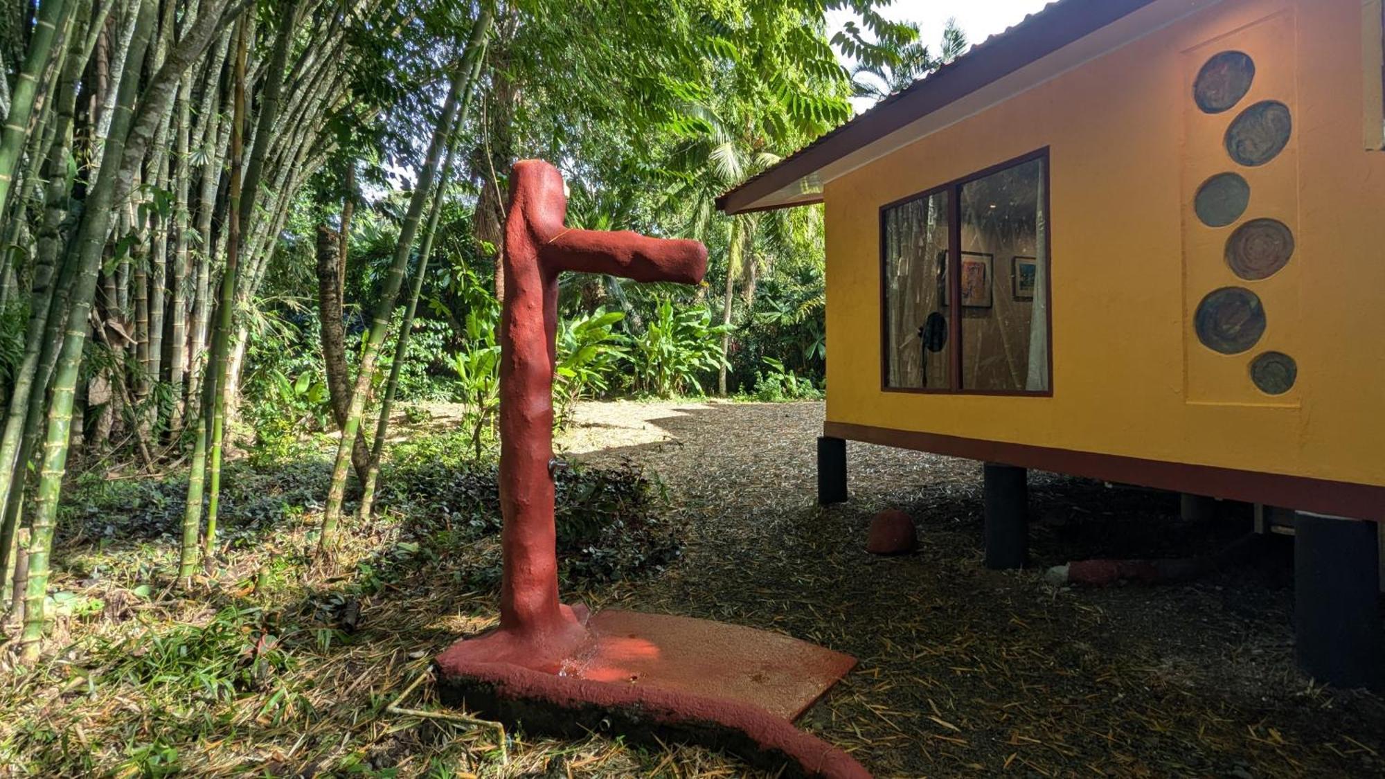 Tree House Beachfront Lodge Puerto Viejo de Talamanca Exteriör bild