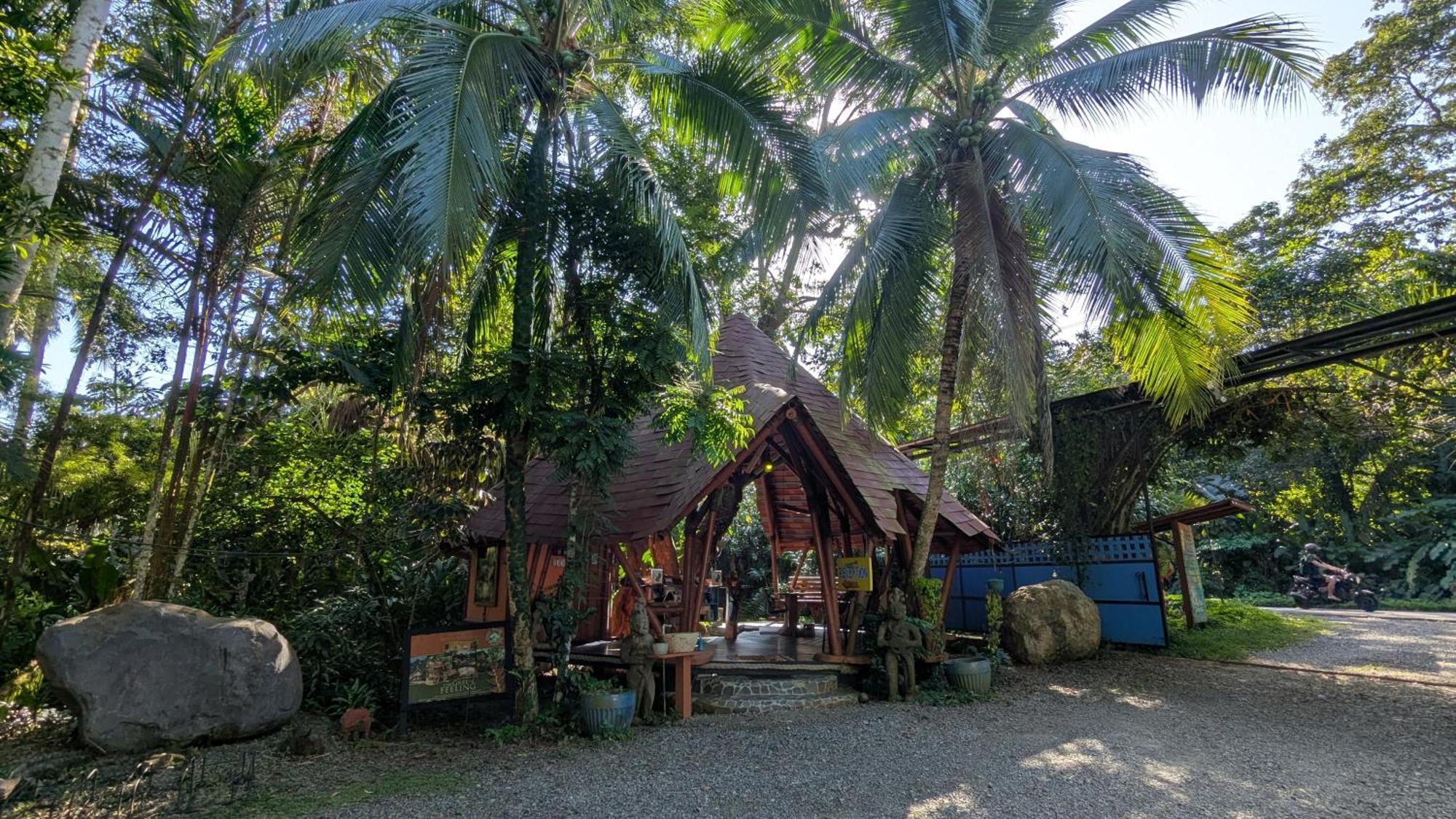 Tree House Beachfront Lodge Puerto Viejo de Talamanca Exteriör bild