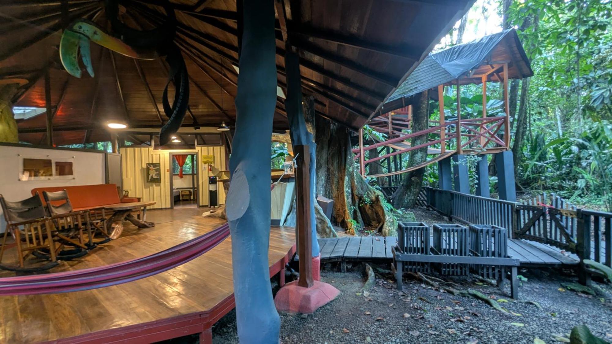 Tree House Beachfront Lodge Puerto Viejo de Talamanca Exteriör bild