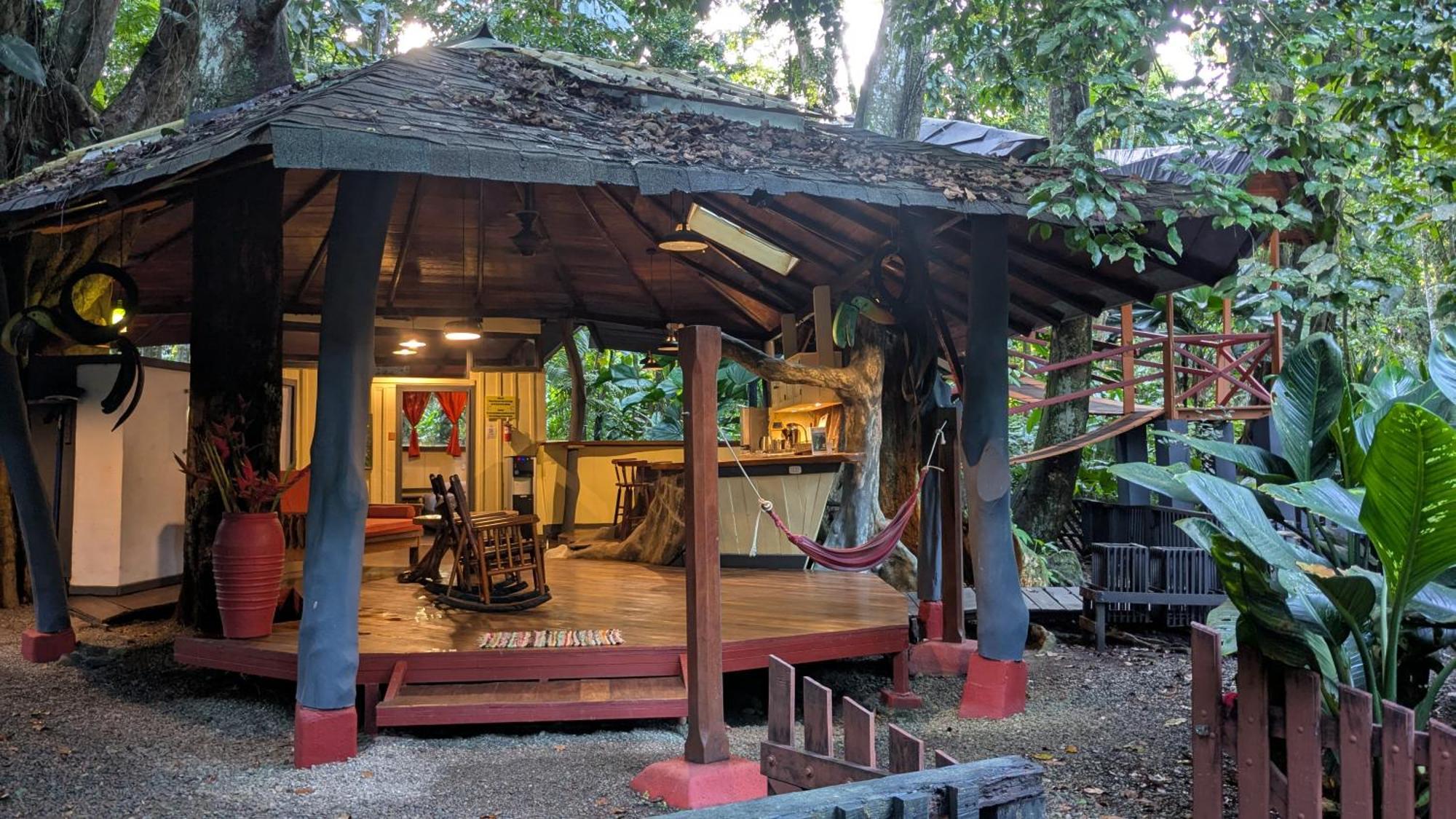 Tree House Beachfront Lodge Puerto Viejo de Talamanca Exteriör bild